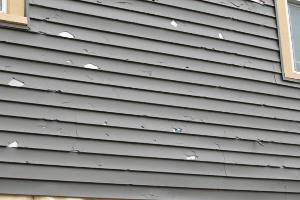 Best Same-Day Junk Removal Services  in Falconer, NY