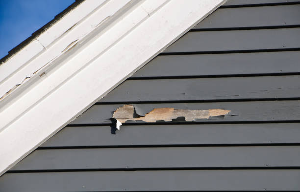 Best Demolition Debris Removal  in Falconer, NY