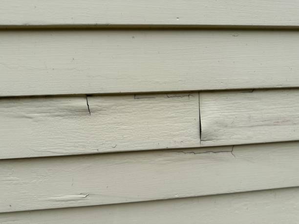 Best Hoarding Cleanup  in Falconer, NY